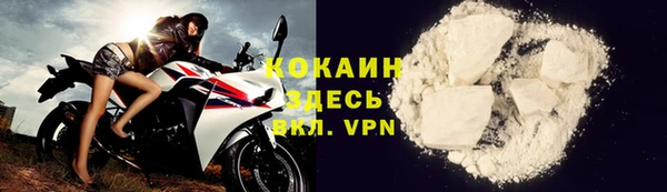 крисы Алексин
