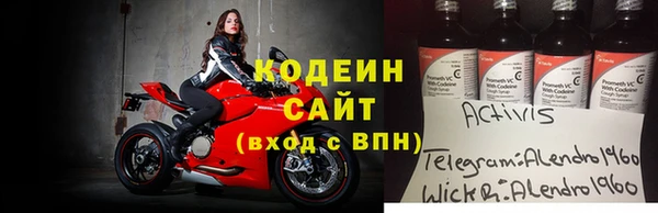 крисы Алексин