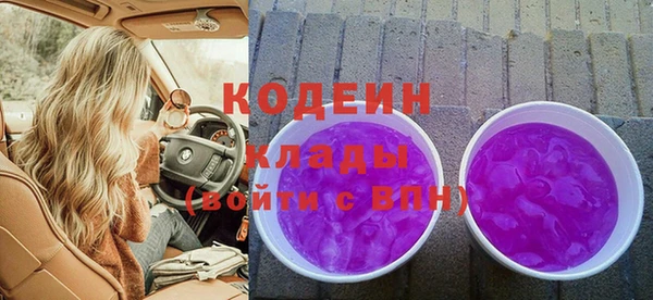 ECSTASY Алзамай