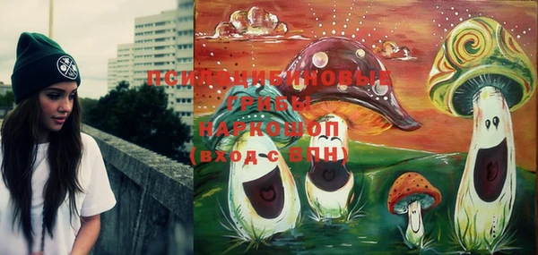 крисы Алексин