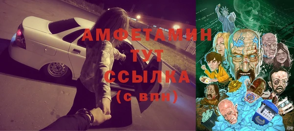 ECSTASY Алзамай
