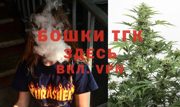 ECSTASY Алзамай