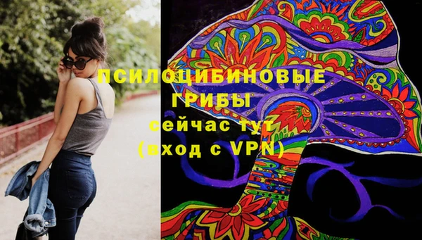 ECSTASY Алзамай